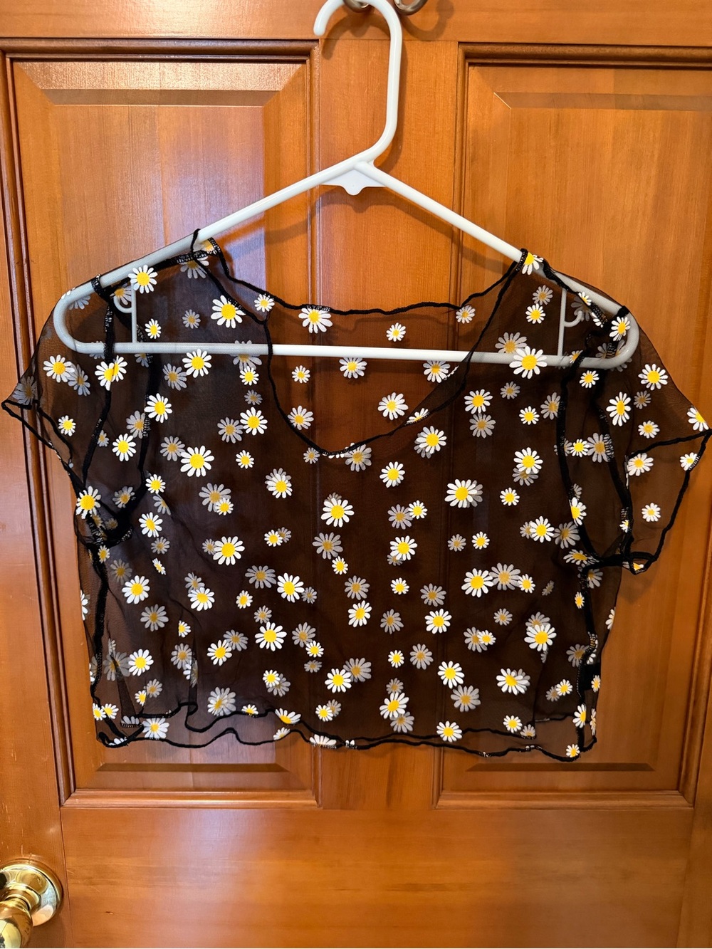 Dainty 90s Y2K Sheer Daisy Print Crop Top